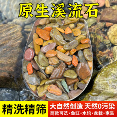 渓流砂金魚鉢底砂亀かめ造景天然原生渓流石砂水草かめ雷龍魚亀造景石