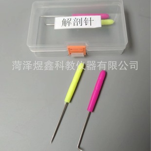 Factory supply dissecting needle biological anatomy insect probe teaching experiment