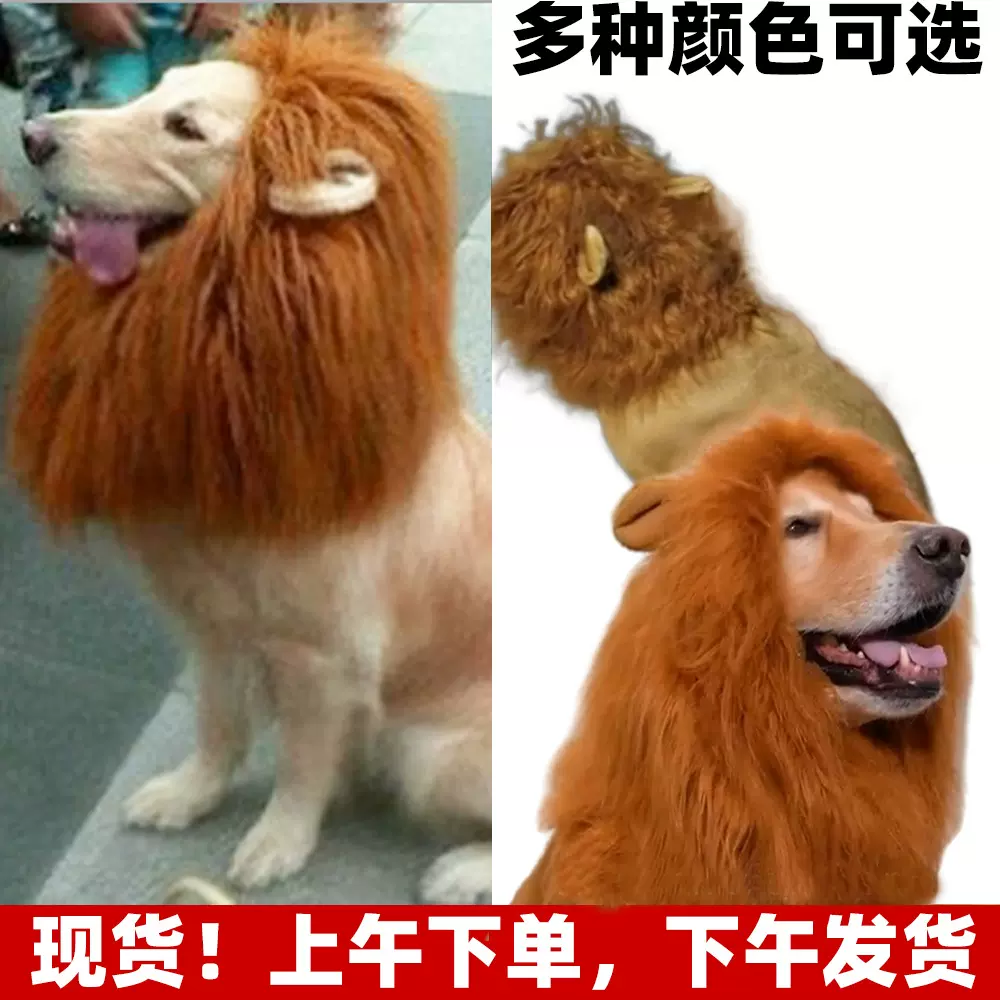 跨境 宠物变身搞怪 狗 带耳朵狮子假发 帽子 宠物狮子头套