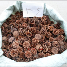 ���]�ɹ�������򱾵����~�[�ɹ����ɻ����b��Ϙ�Ƥľ�z���