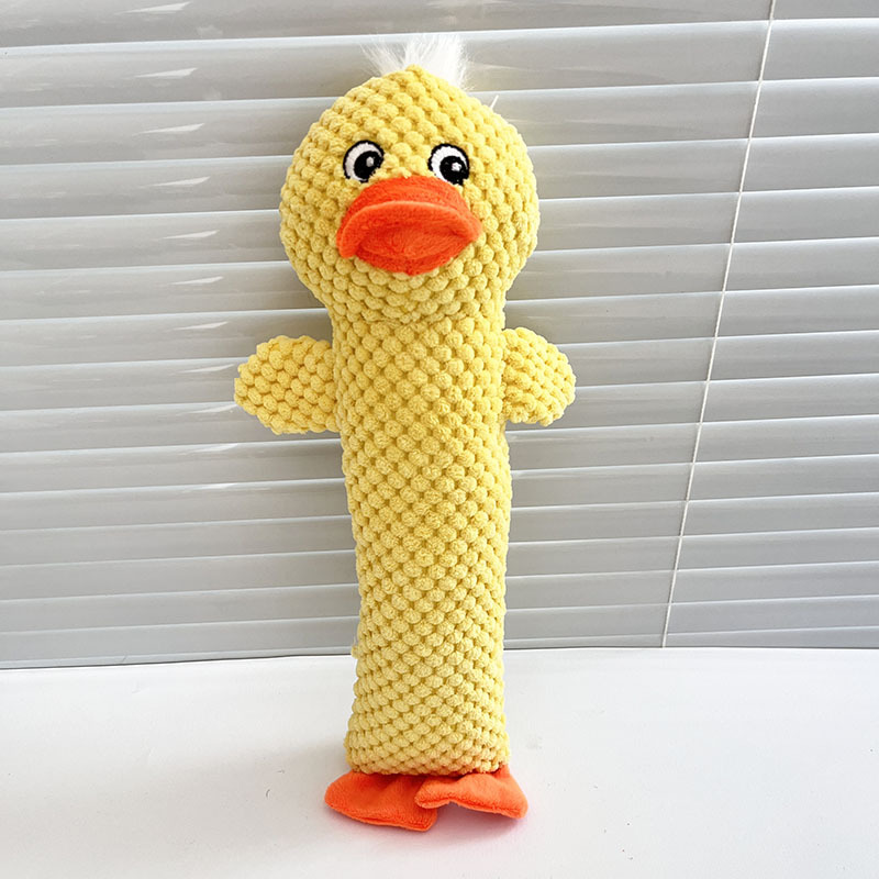 노란 오리는 약 36cm