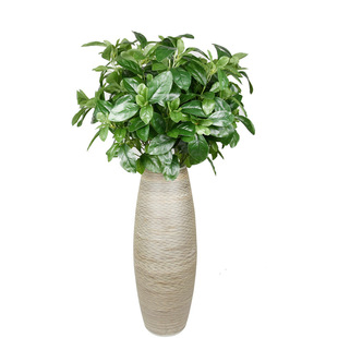 �L֦����ֲ��75cm�d���~�ָм��~�ӼҾ��bGֲ���ܻ�ƿ�廨���