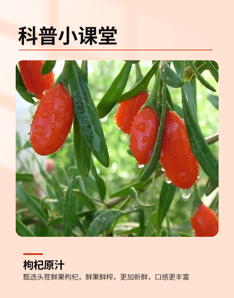 Ningxia Red Goji Berry Puree Gou Qi Zi Juice 150ml Box Fresh Pressed Plant Drink quality and texture