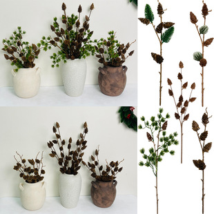 �羳�����ɹ���֦ �͹���ϵ�ɻ��|�� �Ҿә����}�Q��ƿ DIY �b�