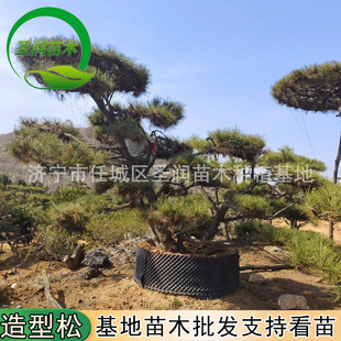 �F�ڴ��̈́e��ͥԺ�����_�h�Ɉ@�ֹ��̾G����ľ�쾰��