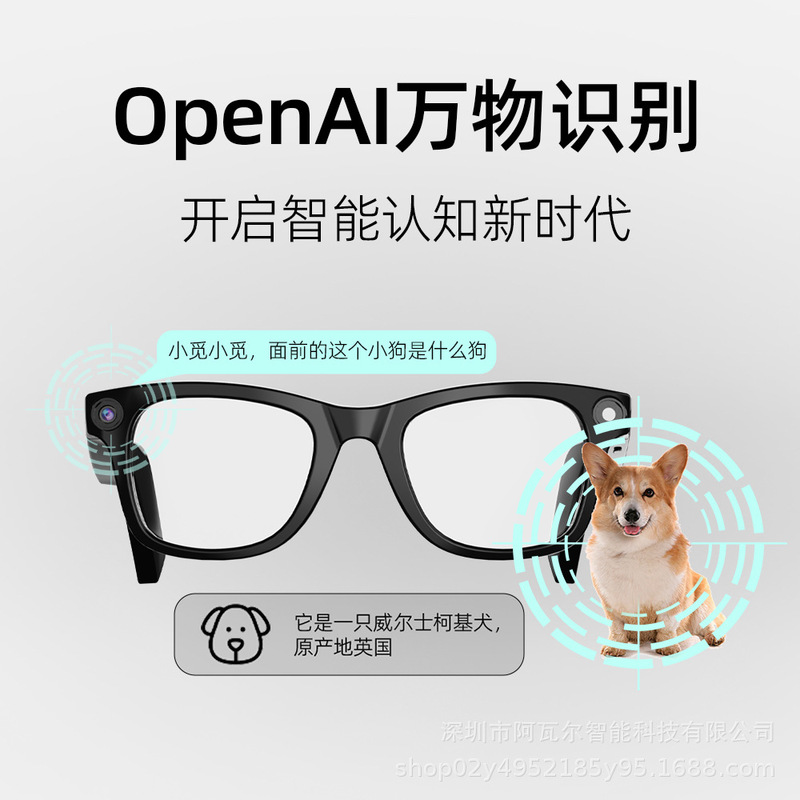 G100Ai智能800W像素拍照录像识万物翻译眼镜|undefined