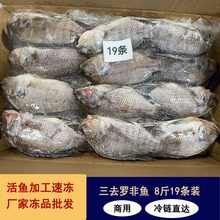 三去罗非鱼冷冻8斤19条装酒店烧烤餐饮商用水产冻品批发鲜活冷冻