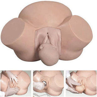 Advanced Midwifery Training Manikin Midwifery Learning Simulator Km/8