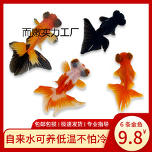 С���~���~�^�p�~��ˮ��ˮ�t�~�\���~���B�ͻ����\���^��������x