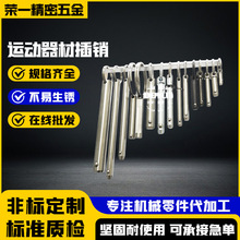 厂家供应 运动器材插销定位导销快卸销弹簧销锁不锈钢销 批发