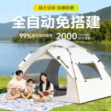 帐篷野外露营户外帐篷全自动折叠帐篷防暴雨加厚防晒家用帐篷批发