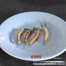 ș�Ę˱���ș����ģ�ͽ̾��S�����˅���ș���`֥����x�ݵ��ߙ���