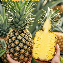 �V�|����ˮ���}ˮ���������}���r�P��տ�����С���}������]