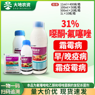 �Ű� �����A�� 31%�f���ͪ����������˪ù�������߲��rș������