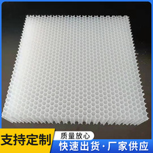 定制PP塑料蜂窝板轻便木门橱柜板填芯蜂窝芯PP塑料复合板厂家批发