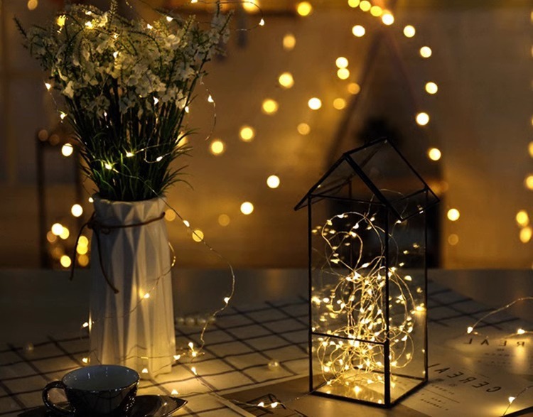 LED Copper Wire Lights 8