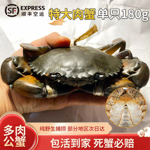 B������з���\ �ϼ�����з�r�� ���зҰ��1ֻ180g��������з