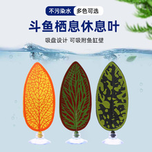 �羳���~��Ϣ�~�~���쾰����a�ј��~ˮ����Ʒ�����PС�~˯�X�~��