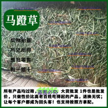 �R�Ų�100����ș����؛�R�Ųݟo�s�R�Ų��^��� ߀ꖲ�Сʯ�f