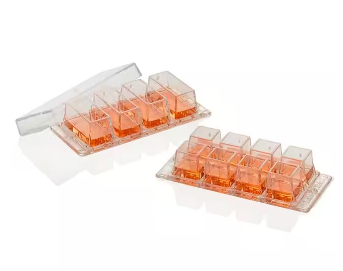 Nunc能肯 155383 盖玻片 1孔 2孔 4孔 8孔 硼硅玻璃底 无毒