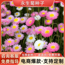 շN ¶컨N׷NѻNлͥԺܵ