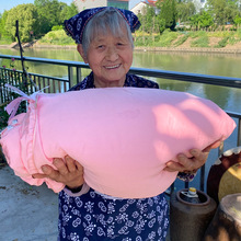 ֹͩ˿оĸ100%˫ɣ˿ļӺ񶬱