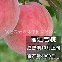 ����ѩ���Ҙ����S�����������޽�ˮ����Ѫ���ӹ������Ԯ���Y��