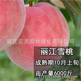 ����ѩ���Ҙ����S�����������޽�ˮ����Ѫ���ӹ������Ԯ���Y��