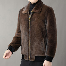 海宁男士皮毛一体水貂毛金貂绒翻领外套仿皮短款男新款皮大衣