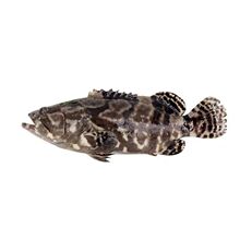 Ұ���ϻ��r��ʯ���~��đ������ك��������~��S���r�y�~���~