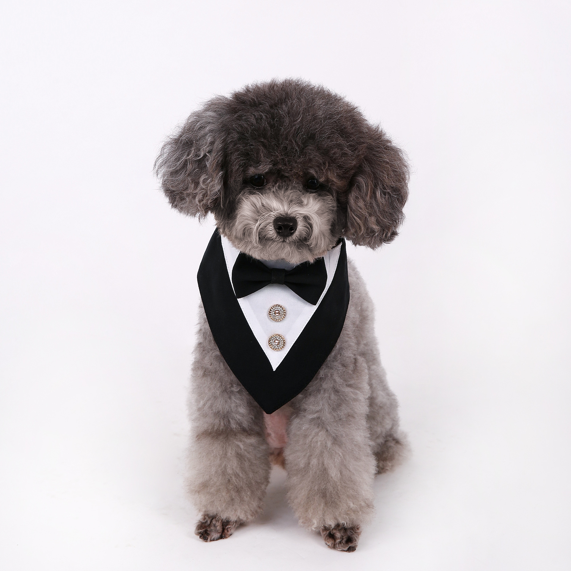 Navidad Año Nuevo Spot transfronterizo boda británica trajes toallas para mascotas bufandas perros velcro toallas para mascotas triángulos