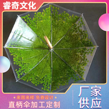 自动大雨伞长柄雨伞防晒防紫外线直把伞直柄直杆伞个性图案