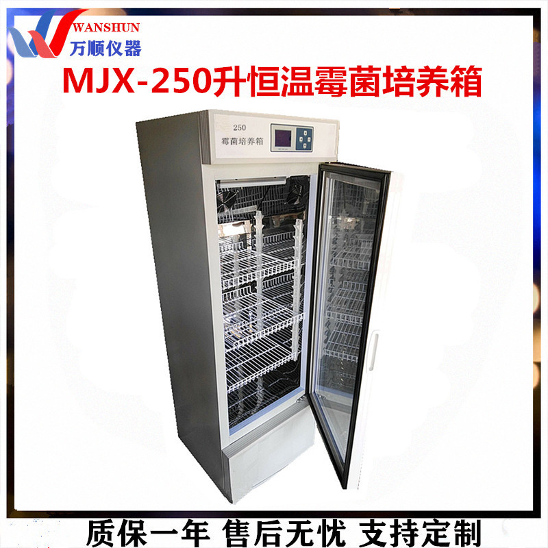 恒温培养箱MJX-250霉菌培养箱  恒温培养箱 数显恒温霉菌培养箱