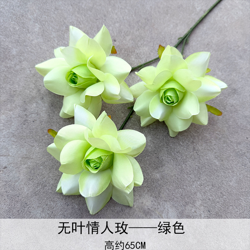 Amantes sin leaf Rosa verde