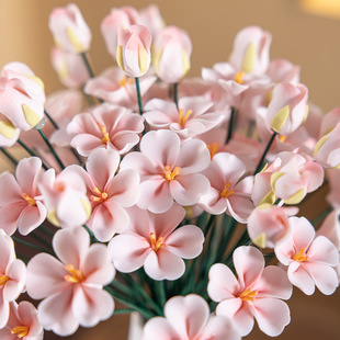 �մ��ֹ���ɫϵ�һ����������ٻ�����Y�͏d�����b�DIY�҃Ȕ[�O