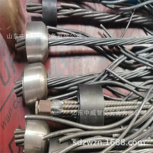 YM15-3�����A�����^�� �����̖�Rȫ YM15-4�͘����A�����^��