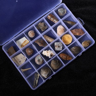 �����ﻯʯ�˱����~�x��ʯ����ԭʯ��ʯ�^��ͯ���|�Y���ԵV����