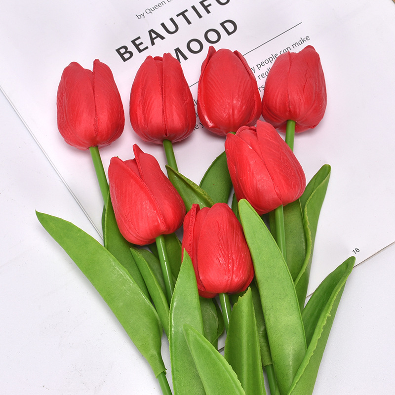 Red tulip