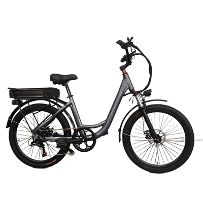 Electric Bicycle | ROCES Auto Parts and Accessories