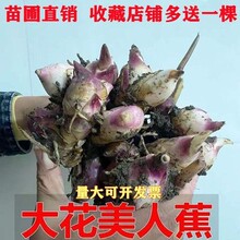 ���˽����玧ѿ����������ֲ���̨����ͥԺ�׻�������ܷN��Nֲ