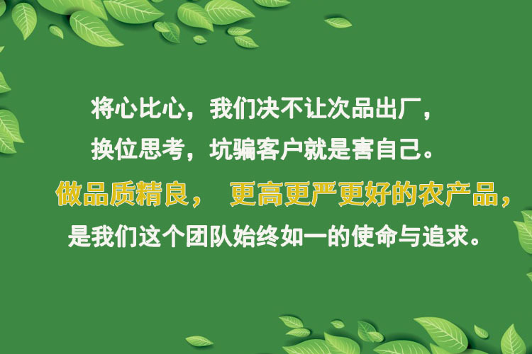 详情页首图副本