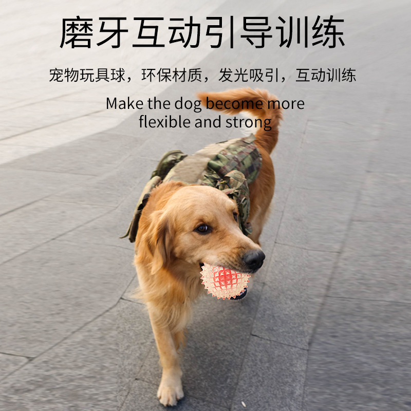 Bola de juguete luminosa para mascotas de venta caliente transfronteriza resistente al desgaste resistente a los mordiscos para mascotas bola de espina elástica bola de guía para perros mediana y grande