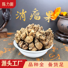 �������S�����������������ع������������F؛�a��؛Դ���N�䱳