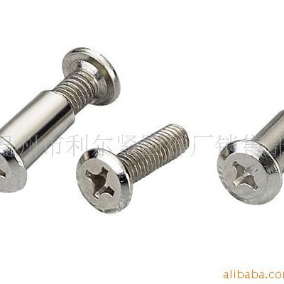 供应子母螺钉，对装螺丝(图)