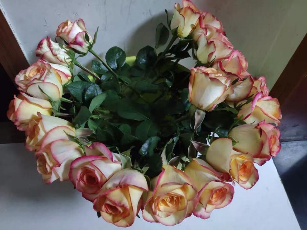 eaf6294c-63f1-49f4-ae8e-20f2ebc86e4b.jpe