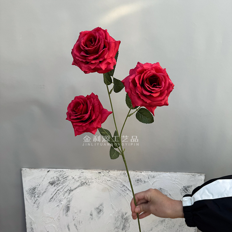 Real object without green leaves 3-head lover rose red