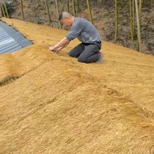 仿真茅草隔热塑料毛草屋顶走廊木屋农家乐户外景区庭院地毯式稻草