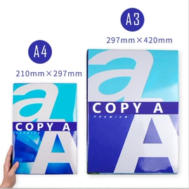 复印纸;凭证报表单据;打印纸