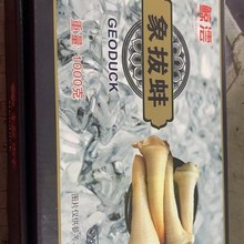 ��ΰ���ؐ�|��ֱ�l���r��Ϡ�����