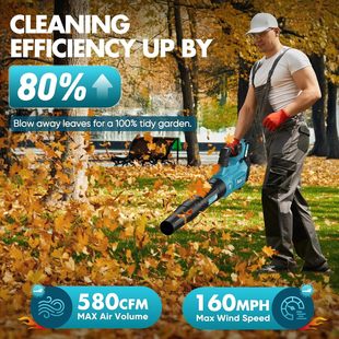 High-Power Lithium Battery Industrial Dust Removal Blower Dust Removal High-Power Blower Blowing Stone Dust Leaf Blower